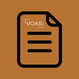 Wirtualne biuro | Pakiet LIGHT